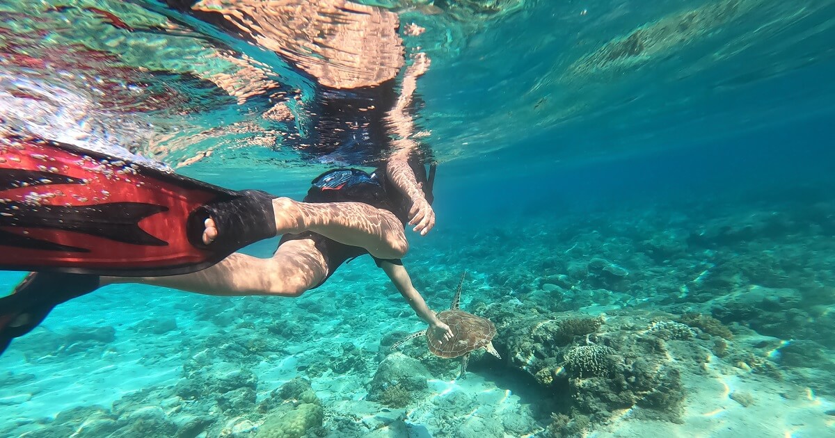 mergulhador com tartaruga (1)
